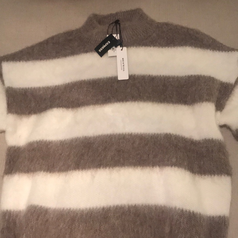 Brand new Express Sweater